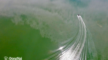 Lạc bước giữa bình yên Trị An