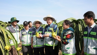 Khuyến nông 'bắt tay' doanh nghiệp: 'Thiên thời, địa lợi, nhân hòa' cho 1 triệu ha lúa chất lượng cao