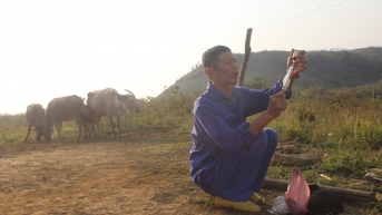 'Bác sĩ của trâu' trên đỉnh Pu Ca