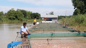 Đồng Nai ứng dụng công nghệ cao trong thủy sản, giúp tăng sản lượng và doanh thu