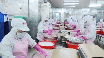 Đồng Tháp tăng tốc công nghiệp, hướng tới nền kinh tế xanh và bền vững