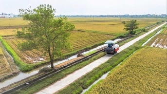 Nông thôn mới bừng sức sống nhờ công trình kiểu mẫu