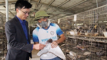 ខេម លី៖ ជួយបំរែបំរួលអាជីព ផ្គត់ផ្គង់ជីវភាពគ្រួសារក្រីក្រ