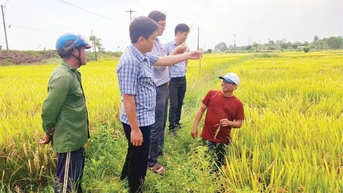 Vững mạnh từ cơ sở