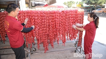 Bình chọn sản phẩm OCOP dẫn đầu tỉnh Đồng Tháp năm 2025