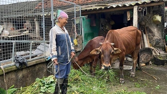 Rà soát hộ nghèo, hộ cận nghèo và hộ làm nông nghiệp, lâm nghiệp, ngư nghiệp có mức sống trung bình trên địa bàn xã Quang Hưng năm 2025