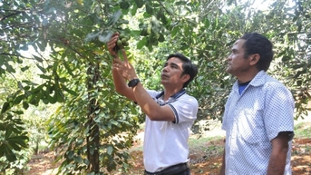 Đổi mới toàn diện hoạt động khuyến nông, lấy nông dân làm trung tâm