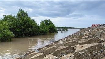 Ca Mau៖ ធ្វើឱ្យប្រសើរឡើងជាបន្ទាន់នៃទំនប់ទឹកសមុទ្រខាងកើត ដើម្បីប្រយុទ្ធប្រឆាំងនឹងការប្រែប្រួលអាកាសធាតុ