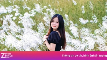 Check-in cánh đồng lau trắng muốt ở Đà Nẵng