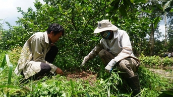 ចំណេះដឹងដើម្បីកាត់បន្ថយភាពក្រីក្រ៖ [Part 2] ប្រែក្លាយដីក្រីក្រទៅជាតំបន់នាំចេញក្រូចឆ្មា