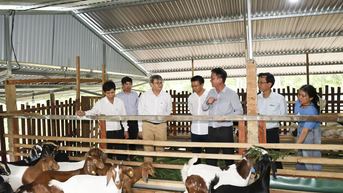 បើក​ទិសដៅ​អភិវឌ្ឍន៍​សត្វពាហនៈ​ពាក់ព័ន្ធ​នឹង​ទេសចរណ៍​ធម្មជាតិ