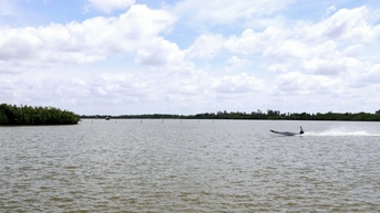 Đầm Thị Tường Cà Mau: Khám phá vẻ đẹp 'biển hồ' miền Tây