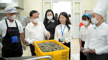 Rà soát mô hình cung cấp suất ăn bán trú tại một số trường