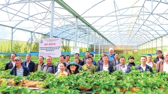 Kiểm kê phát thải khí nhà kính để xanh hóa ngành nông nghiệp