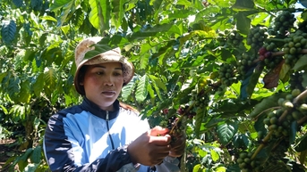 ការរួមបញ្ចូលគ្នានូវកម្មវិធីគោលដៅជាតិចំនួន៣