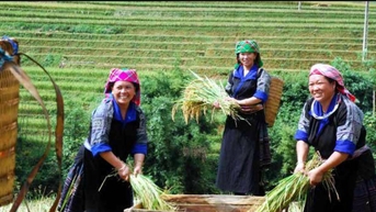 Công tác giảm nghèo trước thách thức biến đổi khí hậu