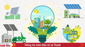 Đề xuất chính sách hỗ trợ người dân sử dụng phương tiện giao thông xanh