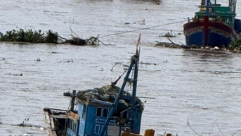 Lâm Đồng hỗ trợ 9 triệu đồng cho chủ tàu cá không đủ điều kiện khai thác thủy sản