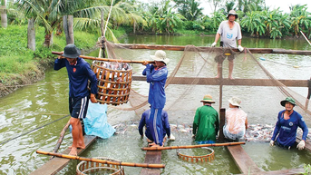 ការពង្រឹងសមត្ថភាពការពារ និងគ្រប់គ្រងជំងឺក្នុងវារីវប្បកម្ម