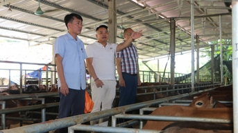 Anh nông dân Tày biến bãi đất hoang thành cơ nghiệp tiền tỷ