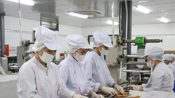 Chuyển động, thích ứng và hội nhập