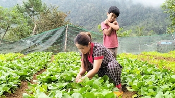 Tiếp sức phụ nữ Cơ Tu làm kinh tế