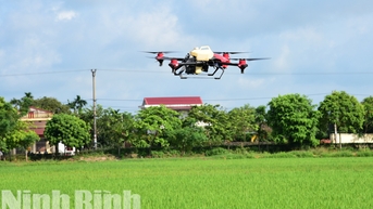 Để ngành lúa gạo phát triển bền vững (kỳ 2)