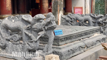 វត្ថុបុរាណដ៏ធំនេះគឺជាកំណប់ទ្រព្យជាតិដែលត្រូវបានរកឃើញតែនៅក្នុងរដ្ឋធានីបុរាណនៃប្រទេសវៀតណាមក្នុងខេត្ត Ninh Binh ។