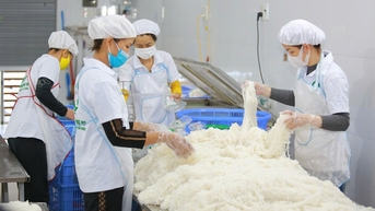 Doanh nghiệp nhỏ và vừa, doanh nghiệp khởi nghiệp - Cần 'bệ đỡ' pháp lý