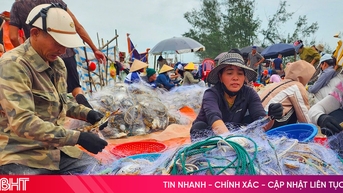 Trúng đậm ghẹ biển, ngư dân phấn khởi vươn khơi vụ cá Bắc