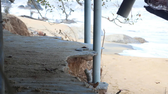 ឆ្នេរ Ham Rong ត្រូវបានបំផ្លិចបំផ្លាញ