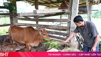 Hương Đô phát huy hiệu quả sinh kế nhỏ để giảm nghèo bền vững