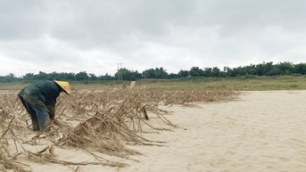 ឃុំ​ទៅ​ណូយ​ស្នើ​ឱ្យ​ធ្វើ​អាជីវកម្ម​ពេញលេញ​នូវ​ធនធាន​ខ្សាច់​ដែល​បាន​ទុក​បន្ទាប់​ពី​ទឹកជំនន់