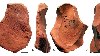 ភស្តុតាងថ្មីនៃសិល្បៈ Neanderthal: ខ្មៅដៃធ្វើពី Ocher