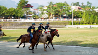 Sôi nổi khai mạc Giải đua ngựa hàng tuần tại Cao nguyên trắng Bắc Hà