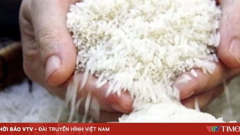 Giá gạo Thái Lan thấp nhất 18 năm