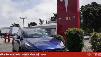 Tesla nói không với linh kiện Trung Quốc cho xe sản xuất tại Mỹ