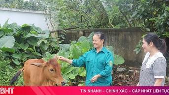 ការធ្វើពិពិធកម្មជីវភាពជួយប្រជាជន Tu My មានឱកាសកាន់តែច្រើនក្នុងការរួចផុតពីភាពក្រីក្រ។