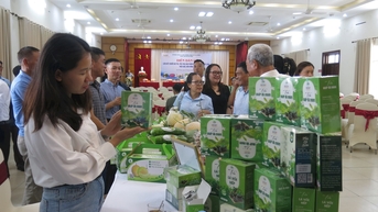 បើកផ្លូវសម្រាប់សហគ្រាសកែច្នៃកសិកម្ម Hai Phong