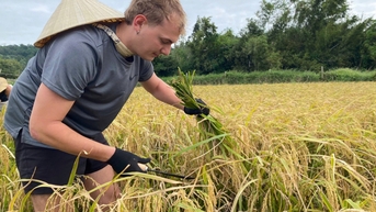 ភ្ញៀវ​ទេសចរ​បារាំង​ដឹក​អង្ករ​យ៉ាង​ធ្ងន់​លើ​ស្មា​ពេល​ព្រឹក ហើយ​ដើរ​ទៅ​តោង​ក្តាម​ពេល​រសៀល​នៅ​កោះ Quang Ninh។