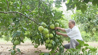Gương sáng người cao tuổi làm kinh tế giỏi