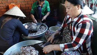 Mắm cá: Hương vị mùa nước nổi miền Tây