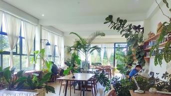 Nhịp sống mới từ những góc cà phê yên bình