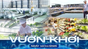 Vươn khơi - Ngày 12/11/2025 | Trục liên kết mới cho công nghiệp hỗ trợ vùng biển phía Đông