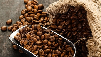 Giá cà phê 16/11: Giảm sâu tới 2.700 đồng/kg tại Tây Nguyên