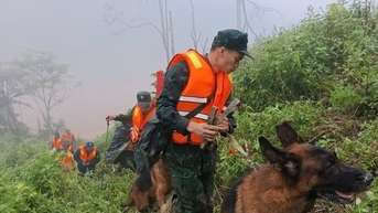 ដាណាងៈ សត្វឆ្កែយោធាស្វែងរកជនរងគ្រោះដែលបាត់ខ្លួនបន្ទាប់ពីបាក់ដីនៅឃុំ Hung Son