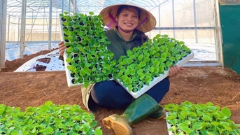 Dfarm - nơi những mùa ngọt lớn lên từ nông nghiệp tử tế