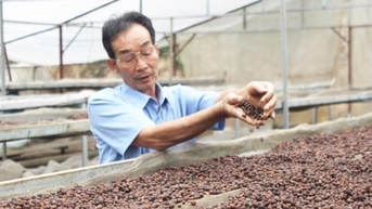 Bản lĩnh đưa hạt cà phê Sơn La vươn ra thế giới