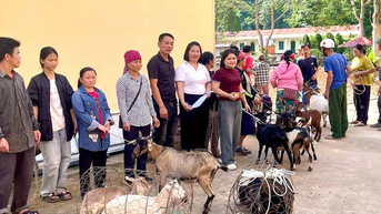 Ý nghĩa chương trình Trao yêu thương - Gieo mầm thiện nguyện tại xã Nghĩa Đô