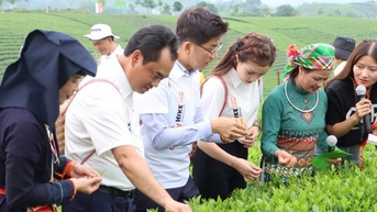 Trà Thái Nguyên – Khi di sản bước ra thế giới